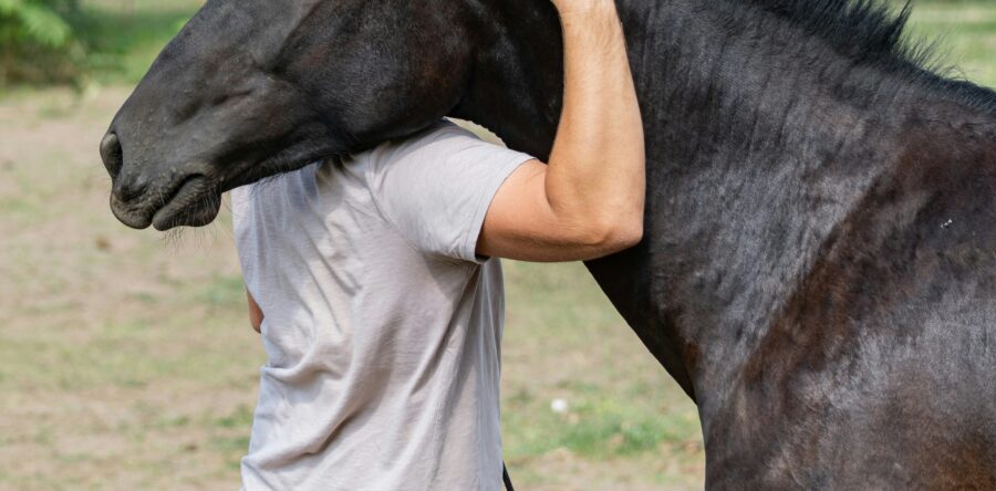 Does Equine Therapy Work?